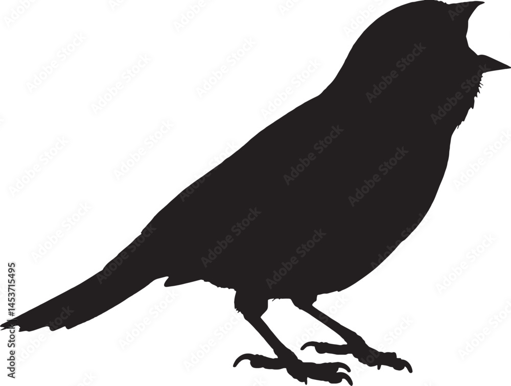 Fototapeta premium House sparrow silhouette. Common urban bird, often seen in flocks. Adobe Illustrator Artwork