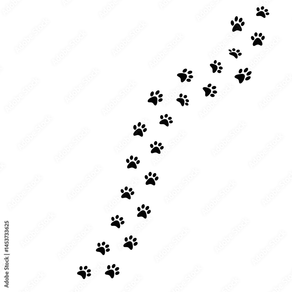 Paw Walking Shape Paw Walking Shape