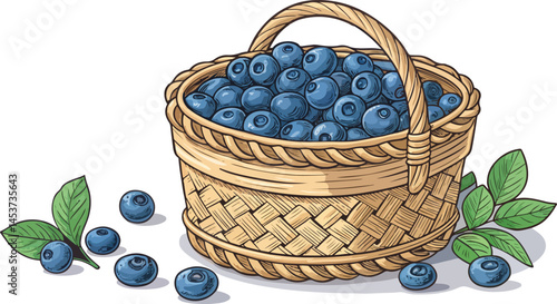 Blueberry in wicker basket in white background vector design, Blueberry vector design