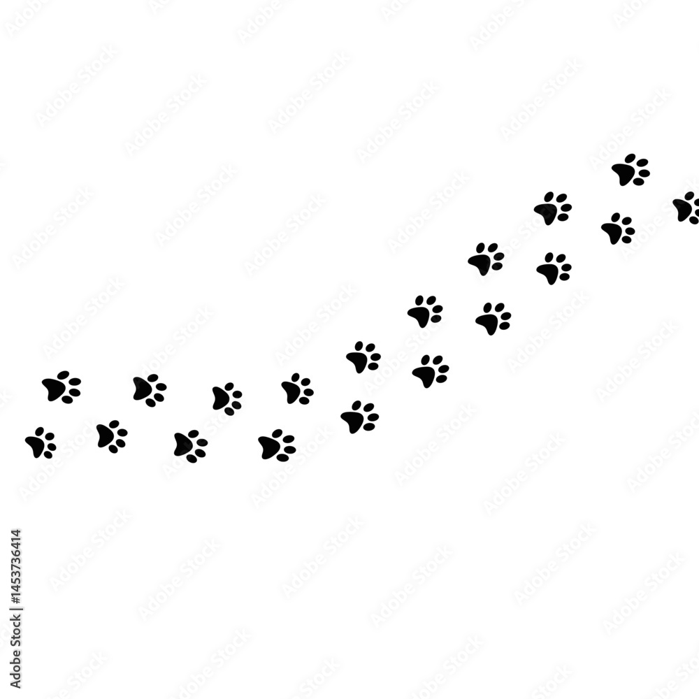 Fototapeta premium Paw Walking Shape