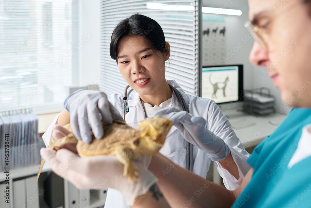 custom made wallpaper toronto digitalYoung male doctor of veterinary clinic holding exotic pet in hands, Asian female colleague palpating its body