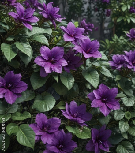 Intense purple petals, lush green leaves, close-up botanical view ,  floral,  wallpaper