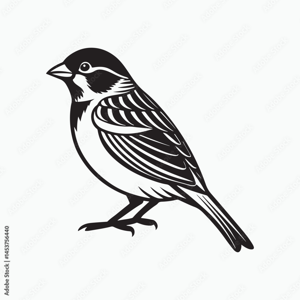 Fototapeta premium house sparrow bird silhouette vector