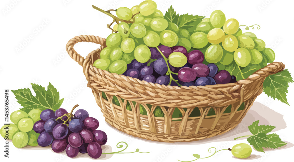 Grapes vector design, Grapes in wicker basket in white background vector design Grapes vector design, Grapes in wicker basket in white background vector design