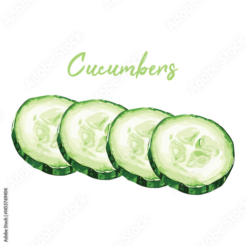 sliced cucumber in watercolor illustration style, isolated vector on white background
