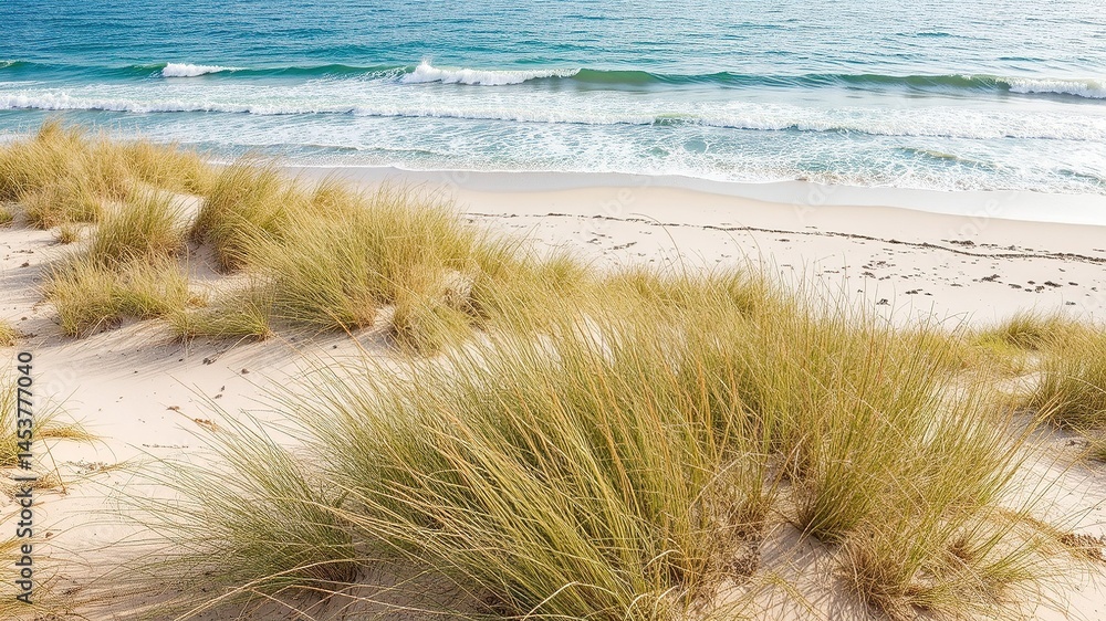 Coastal Dunes and Azure Ocean: A Tranquil Escape