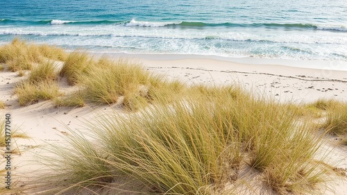 Obraz na płótnie Coastal Dunes and Azure Ocean: A Tranquil Escape w salonie