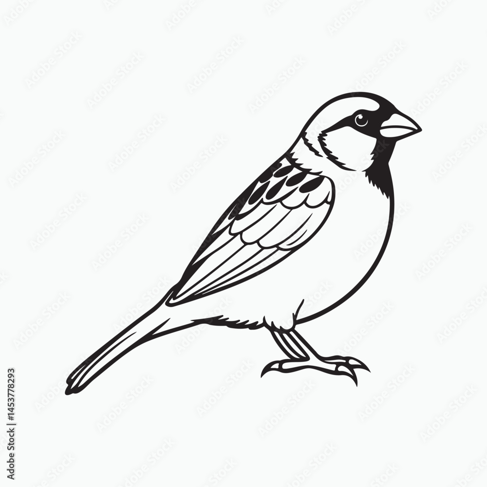 Obraz premium house sparrow bird silhouette vector