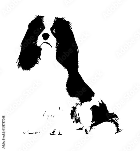 Vector Illustration of a Cavalier King Charles Spaniel Silhouette