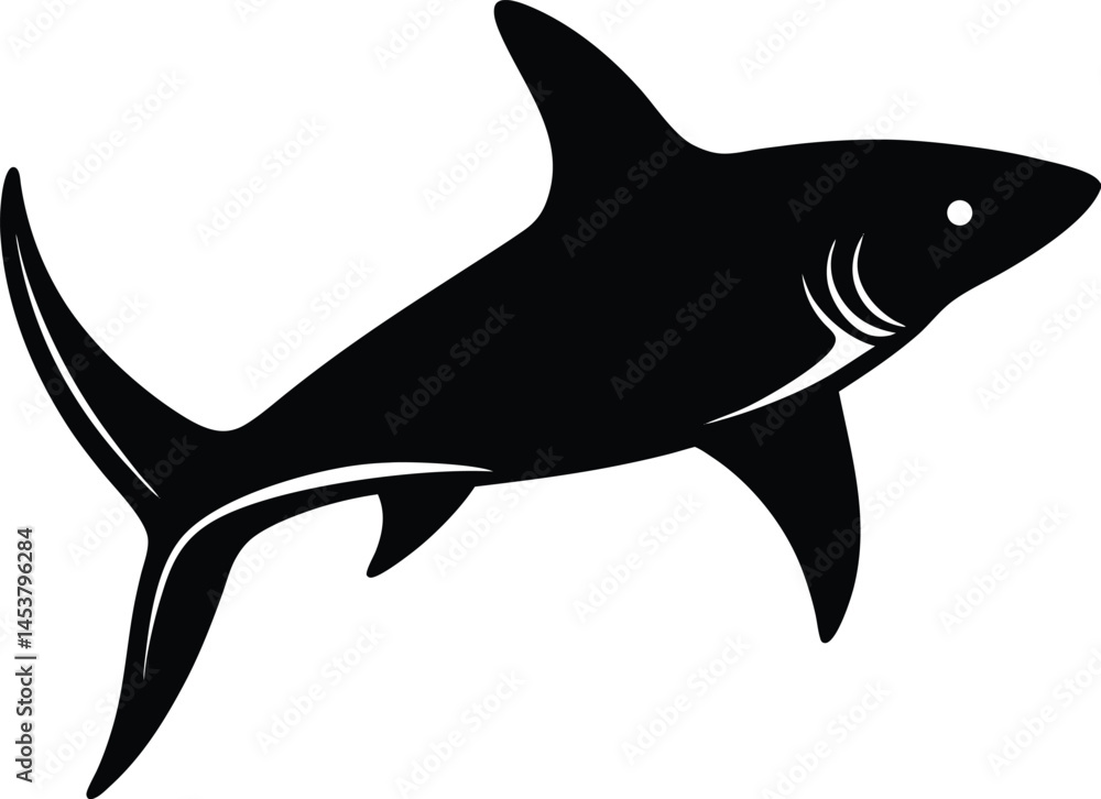 Obraz premium hammerhead shark on white background