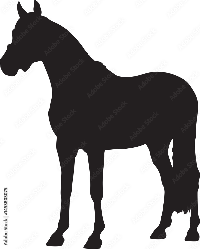 Obraz premium horse silhouette in a standing pose on white background