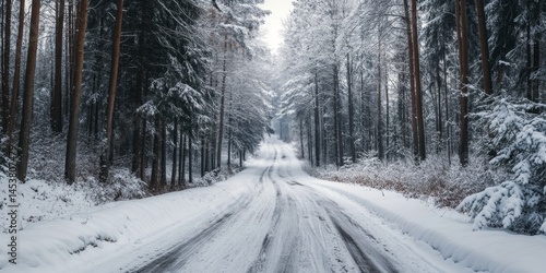 Obraz na płótnie A snowy road with trees in the background. The road is covered in snow and the trees are bare w salonie