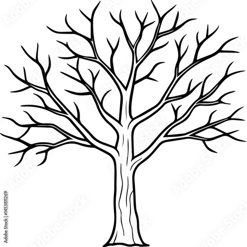 bare tree outline vector illustration line art coloring book page design