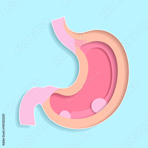 Stomach illustration with layered paper cut style showing digestive health and medical anatomy