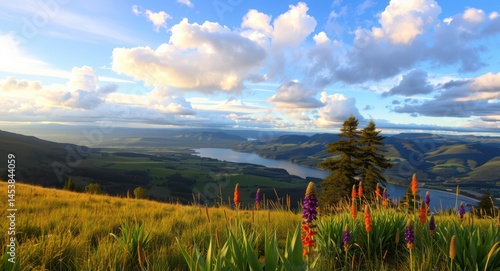 Beautiful columbia river gorge landscape with wildflowers and scenic overlook view