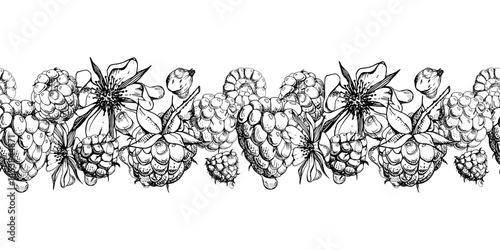 Raspberry ripe garden berries, flowers in water dew drops hand drawn in vector ink. Seamless isolated banner garland. Home preserves, textile washi tape, food store decor, recipe book, dessert menu