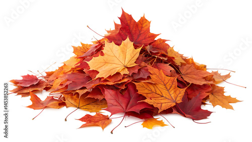 maple autumn leaf pile isolated on white background PNG. AI GENERATED