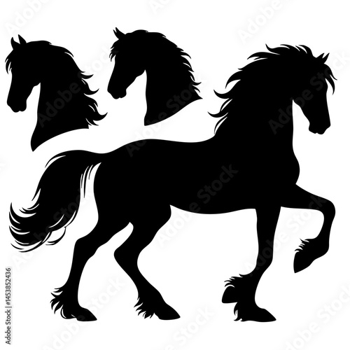 black horse vector illustration