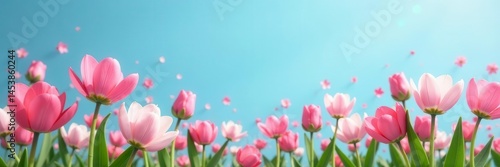 Cheerful pink and white flower display against a serene blue Springtime festive scene , pastel, joyful, floral