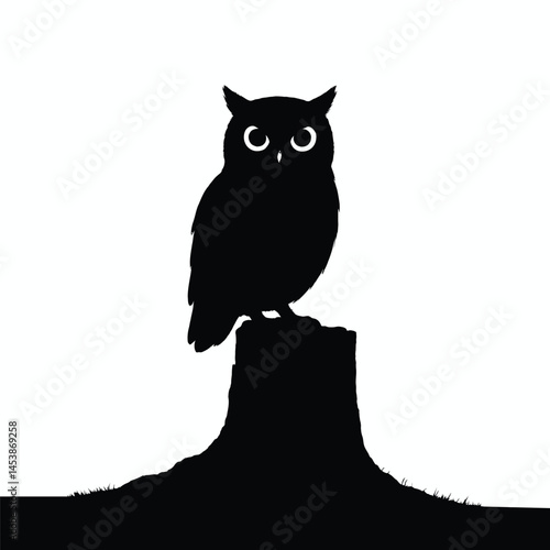 owl on a branch in the night