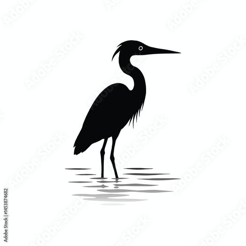 Great Blue Heron Wading on the Beach in Florida