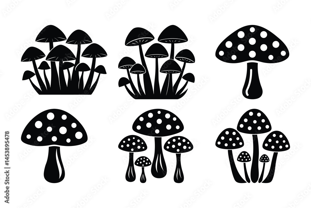Collection of Mushroom Illustrations Black and White Fungus Icons