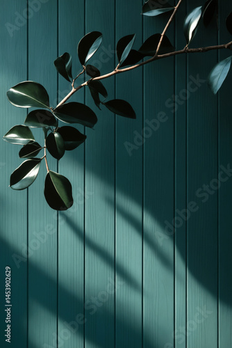 Obraz na płótnie leaves on green wall. Minimalistic background with blurred foliage shadow w salonie