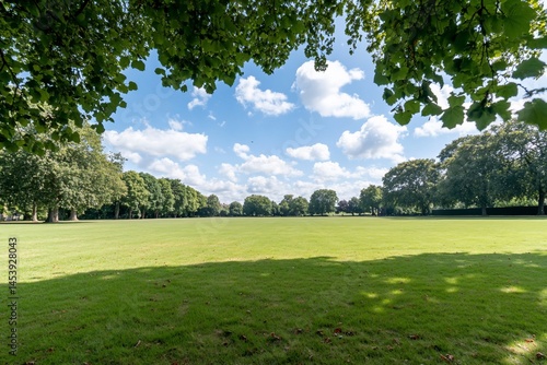 A wide, green field is lined with trees under a blue sky with white clouds