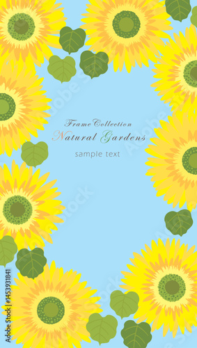 Frame Collection_radiant sunflower 2_2