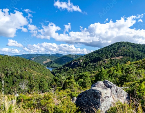 Immersive and Seamless natural background with amazing scenery