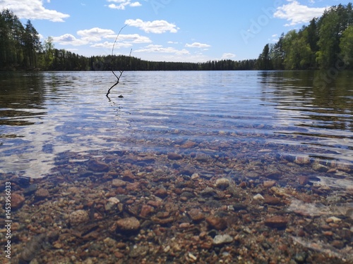 reflection of trees in lake