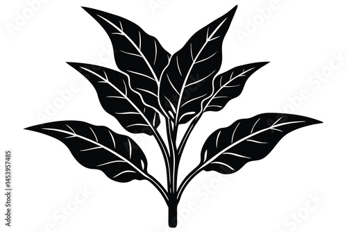 Schilderij op canvas croton plant silhouette vector illustration