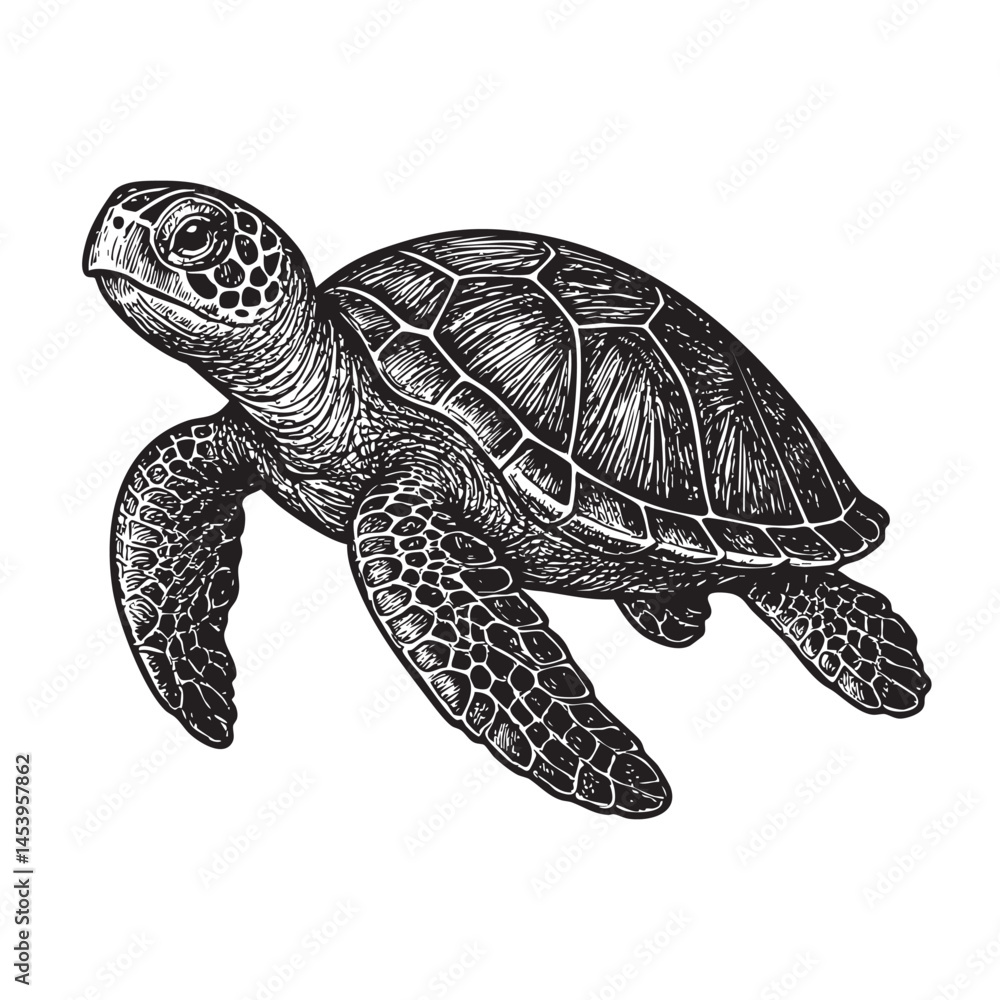 Fototapeta premium sea turtle woodcut engraving vector illustration