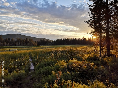 morning in the mountains