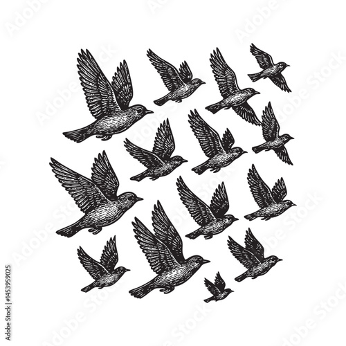 flock of birds woodcut engraving vector illustration