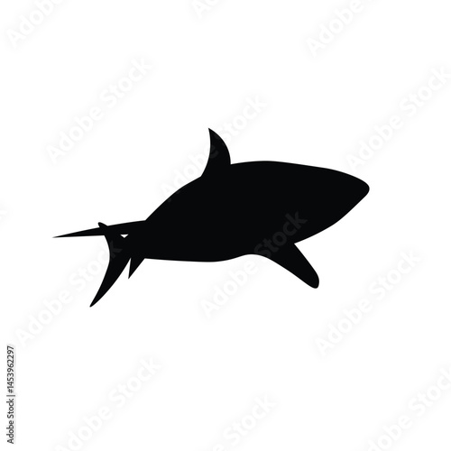 Shark isolated design illustration with black silhouette color suitable to your brand, fish design, shark design, template, sticker, business, and more
