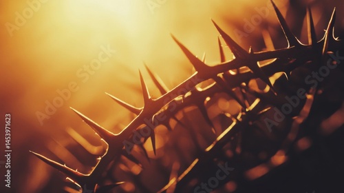 Close Up of a Crown of Thorns with Dramatic Lighting