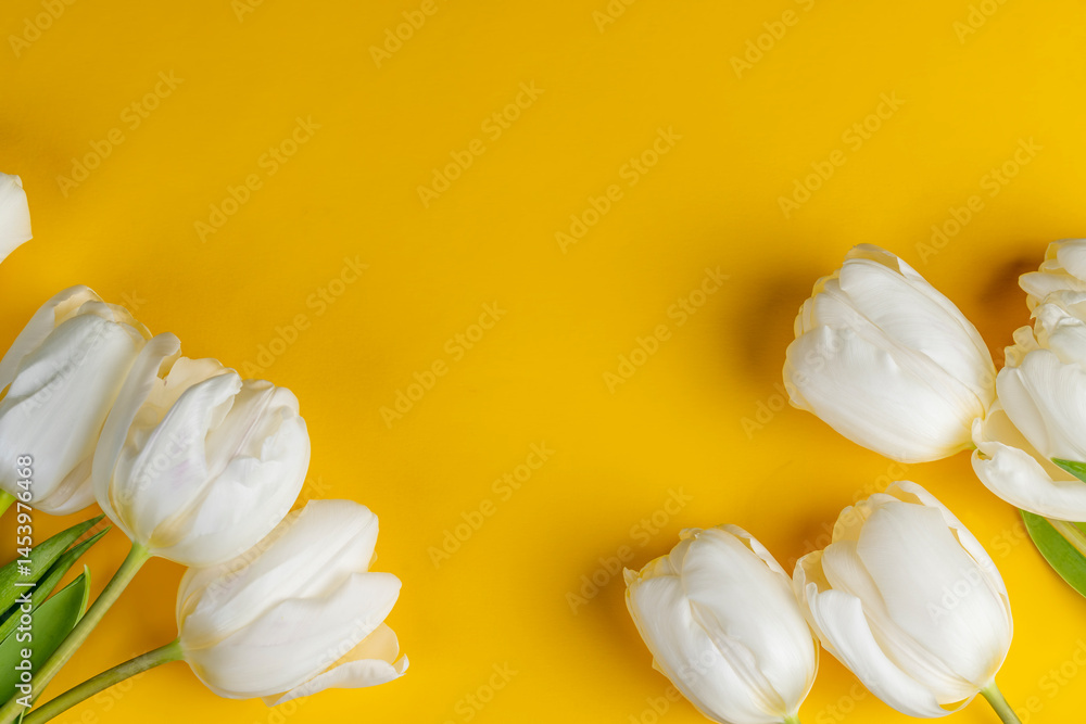 white tulips on yellow paper, yellow paper and white tulip flowers, real white flowers lie on paper
