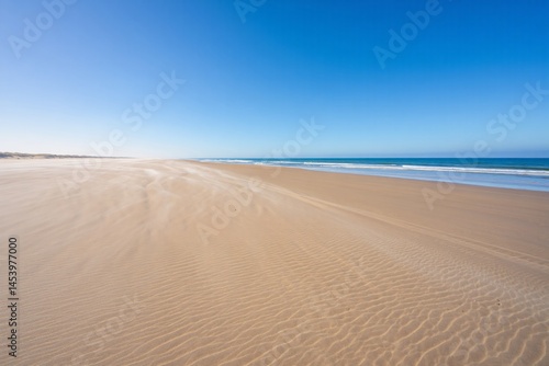 Wind sweeps across the sandy beach, creating patterns in the sand with clear blue sky above.