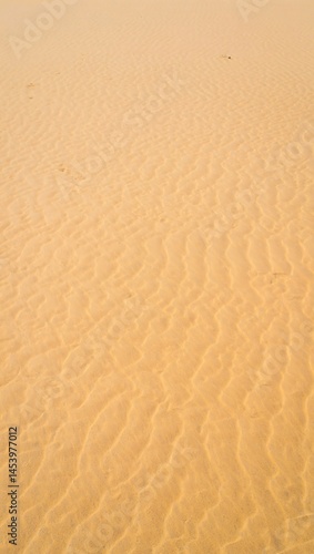 A sea of golden sand stretches across the frame, shaped by the wind into gentle, rippling patterns.
