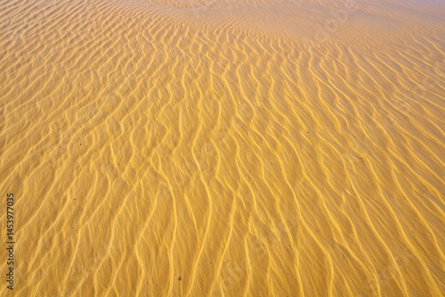 Sand dune ripples create a mesmerizing pattern, showcasing the wind's artistry on the desert's canvas.