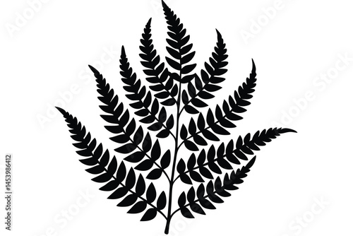 maidenhair fern silhouette vector illustration