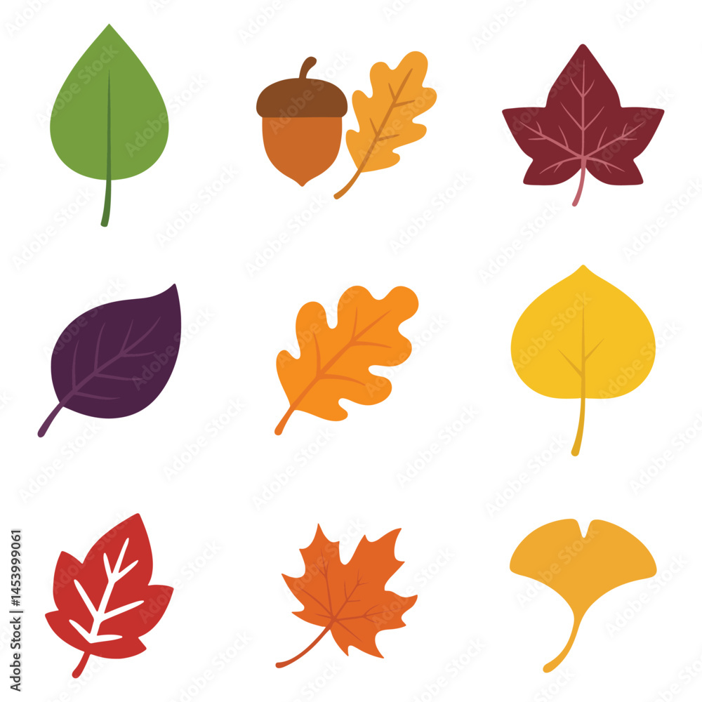 Obraz premium bundle of Vibrant Fall Leaf Illustrations with Natural Details