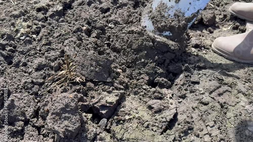 Wallpaper Mural Video of a man in rubber boots digging soil in a garden bed with a shovel in the spring before planting. Active recreation and outdoors Torontodigital.ca