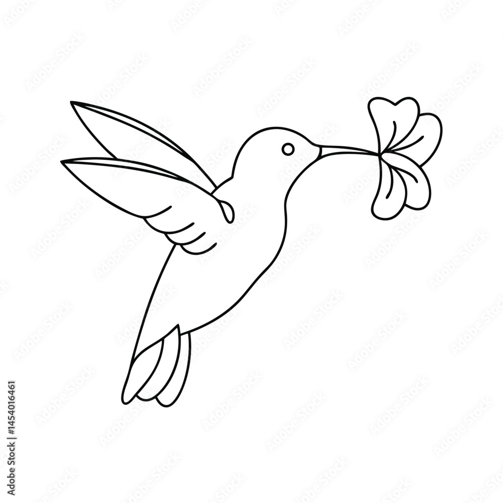 Fototapeta premium Simple elegant outline drawing of a hummingbird carrying a delicate flower for graphic design and illustration purposes