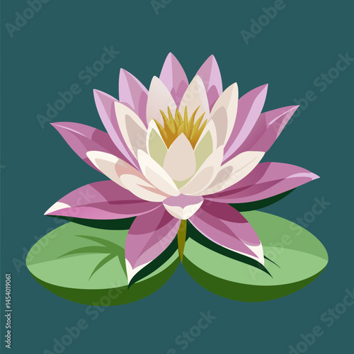 pink water lily