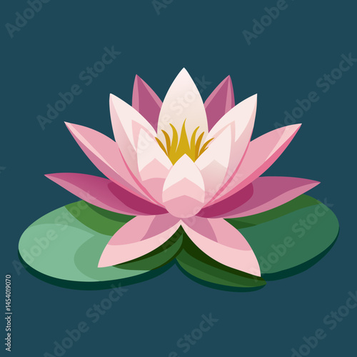 pink water lily