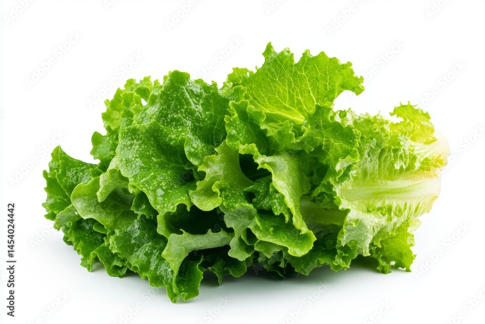 Fresh green organic lettuce leaf macro close up showcasing crisp natural textures on white background Fresh green organic lettuce leaf macro close up showcasing crisp natural textures on white background