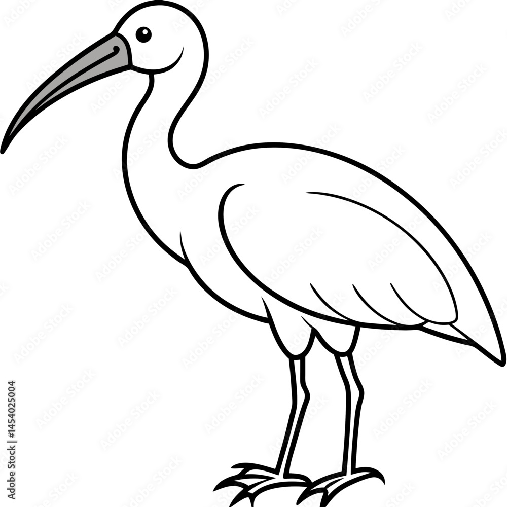 Obraz premium Minimal White Ibis Vector on White