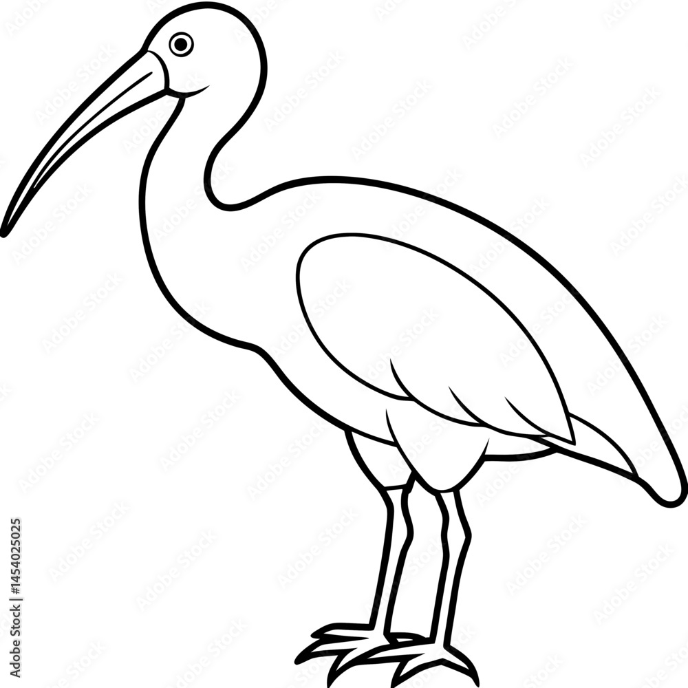 Obraz premium Minimal White Ibis Vector on White